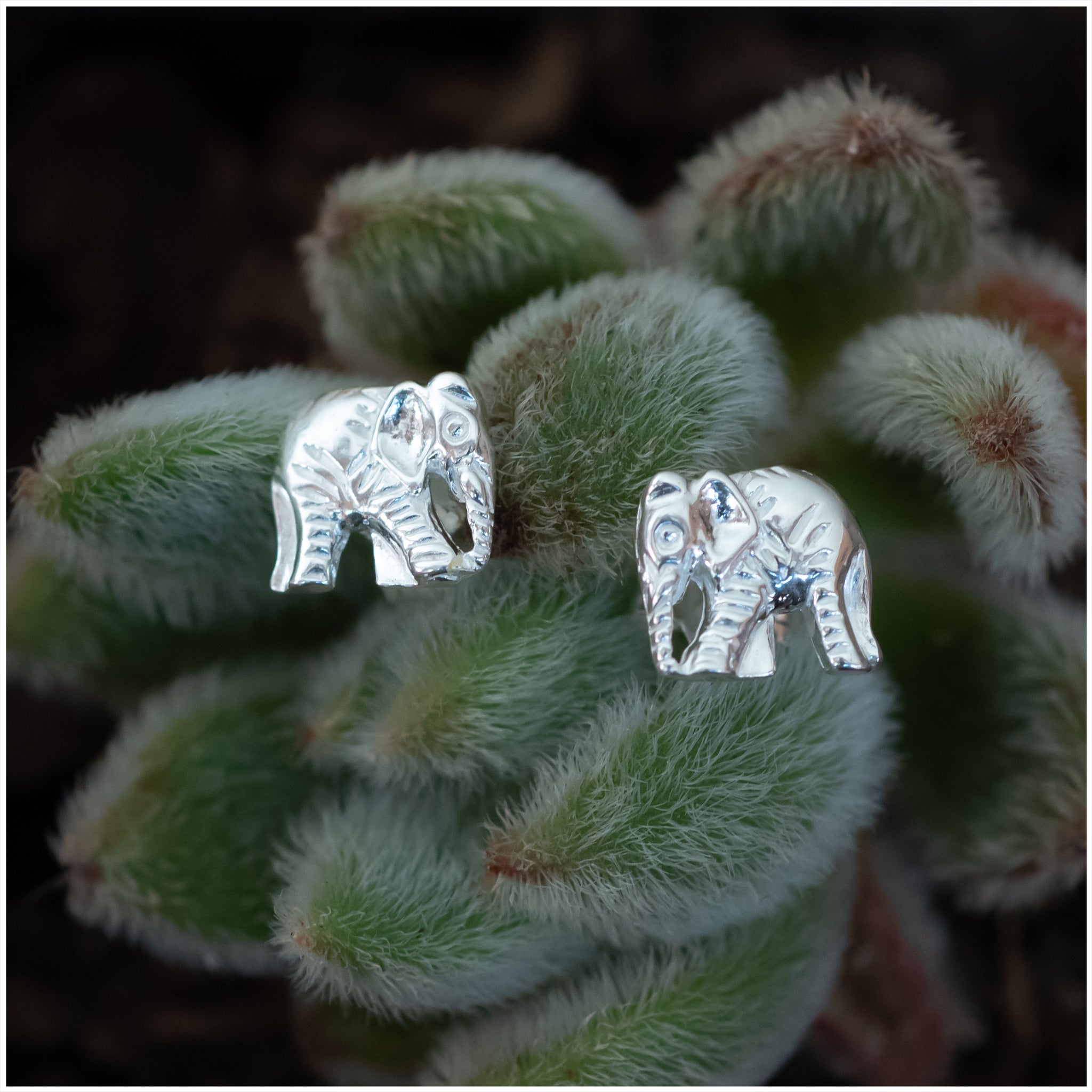 SES015 - Sterling Silver Elephant Earrings